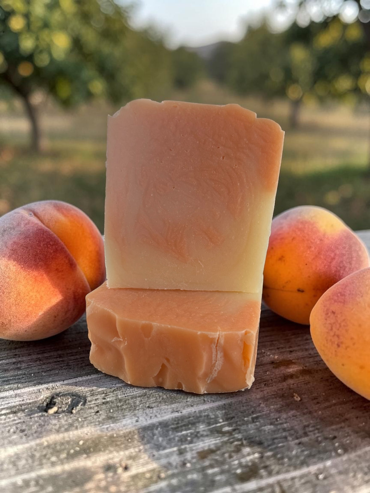 Pêche sucrée